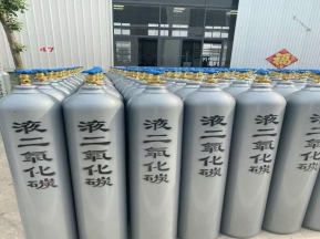 二氧化碳 价廉质优